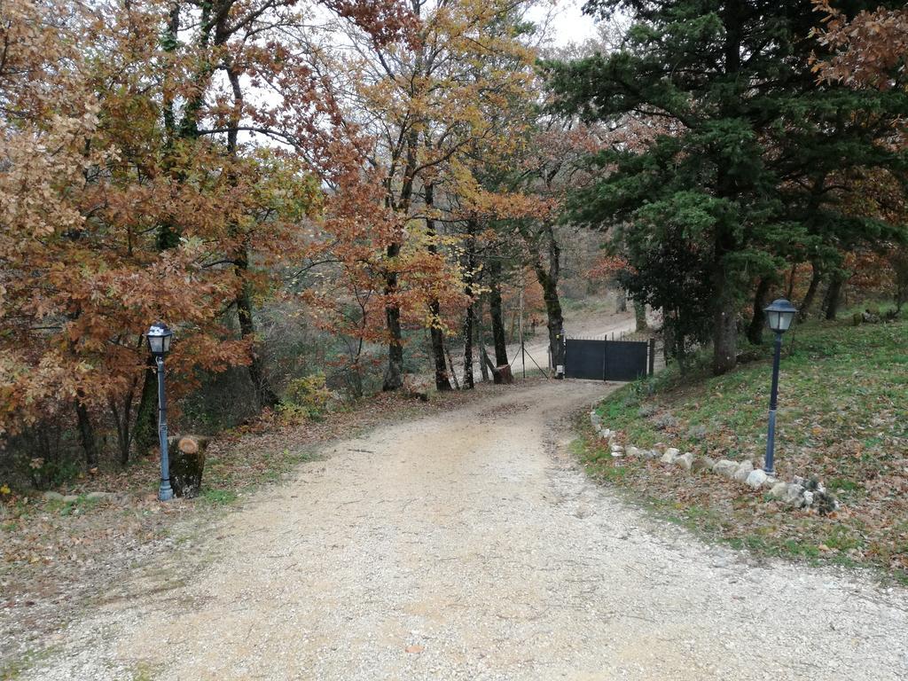 Hotel Il Podere Degli Artisti San Casciano dei Bagni Exterior foto